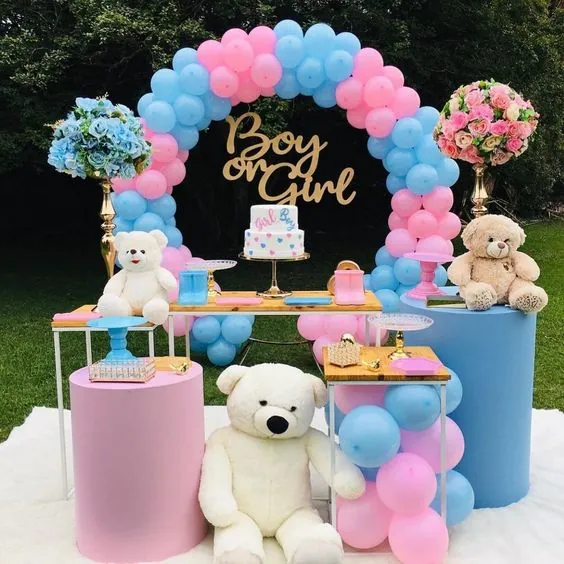 gender reveal themes