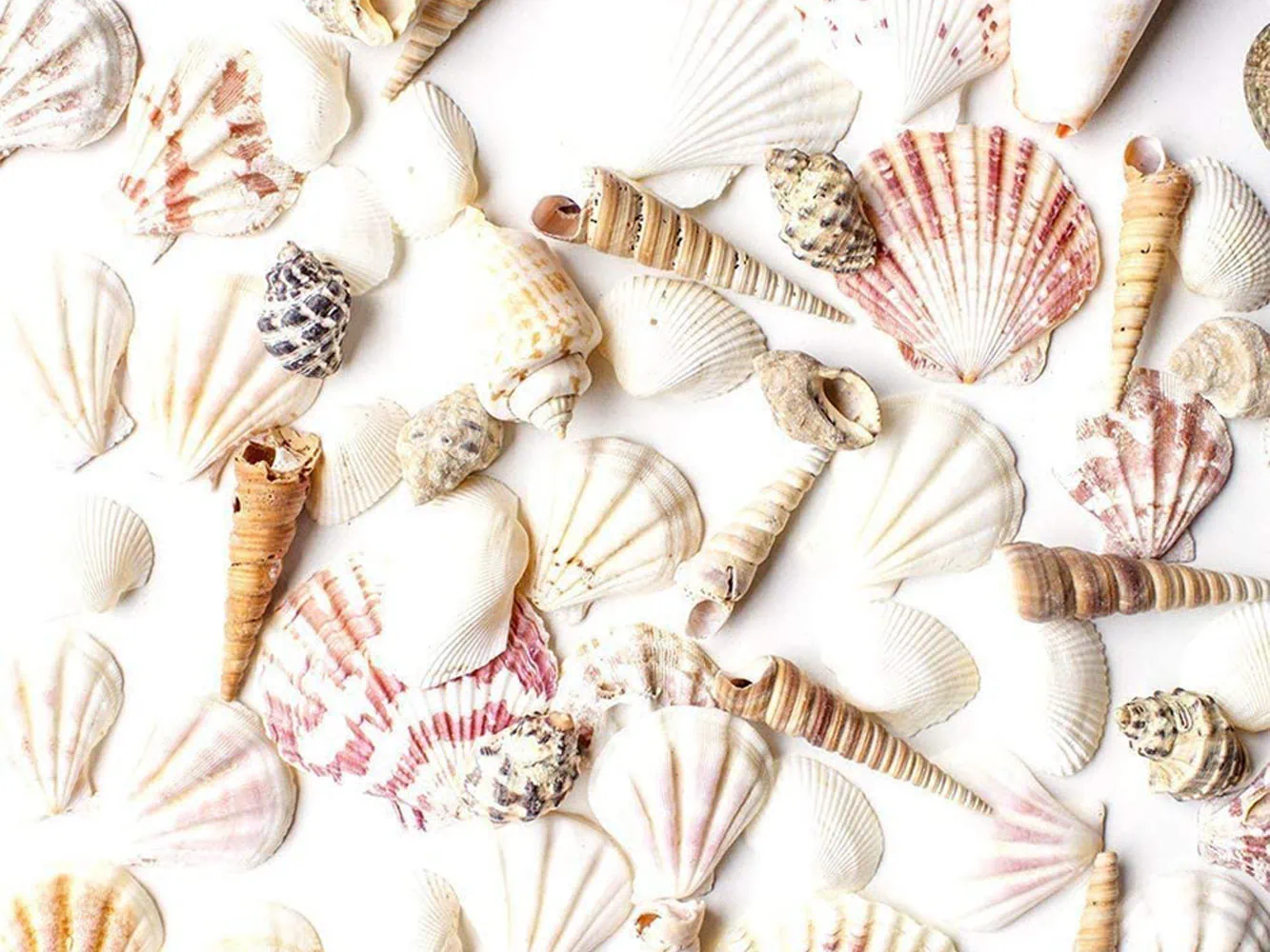 mermaid baby shower decor