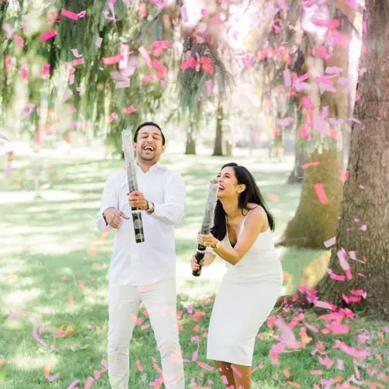 twin gender reveal ideas