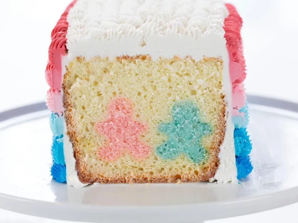twin gender reveal ideas