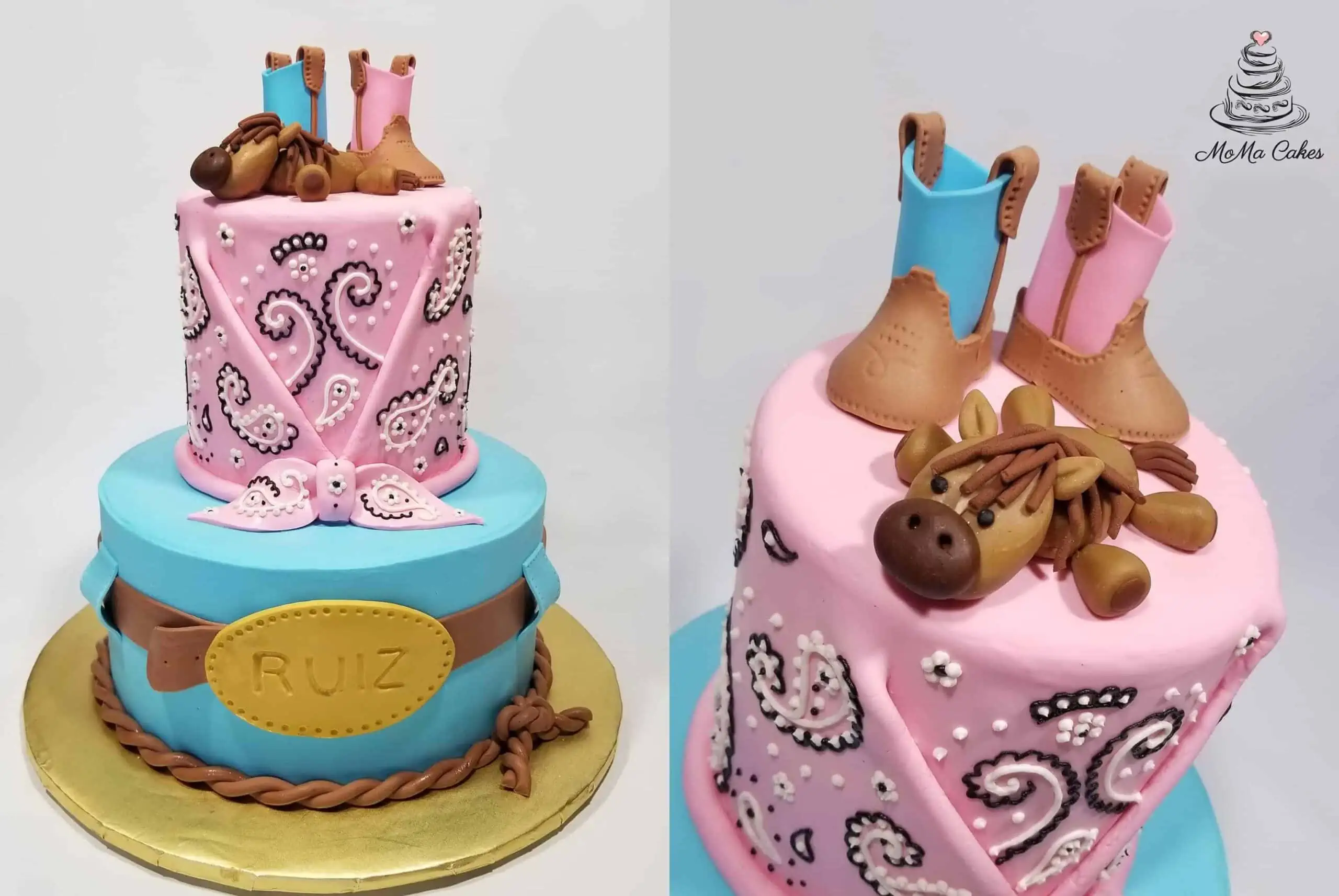 wbs gender reveal cakes