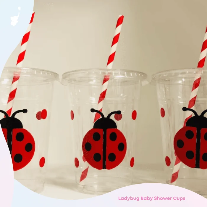 wbs ladybug baby shower favors
